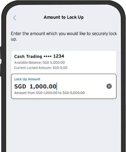 Money Lock